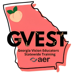 Georgia Vision Educators Statewide Training Logo